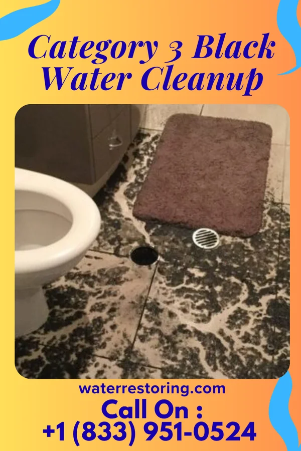 Category 3 Black Water Cleanup in Scott AFB, IL