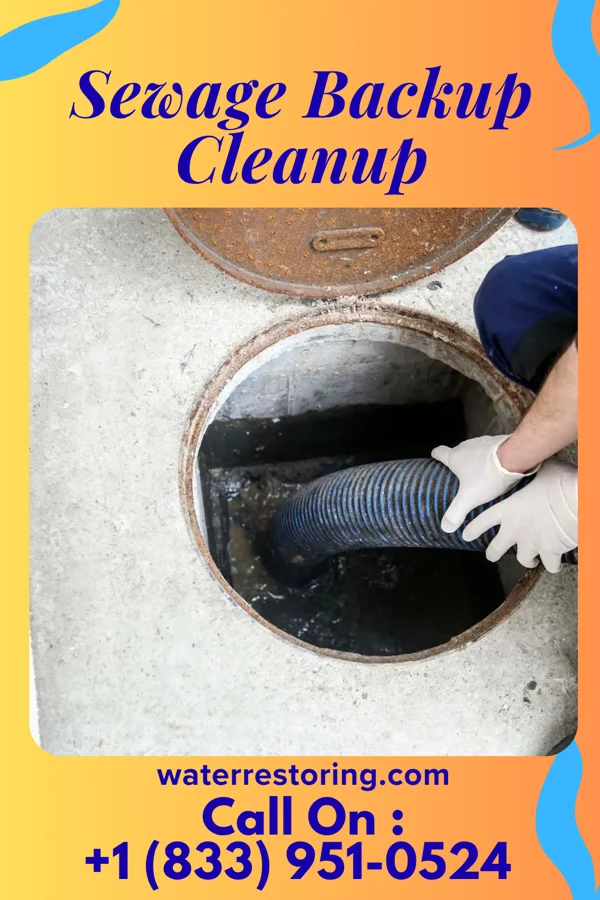 Sewage Backup Cleanup in Scott AFB, IL