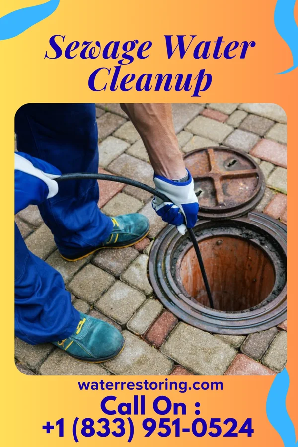 Sewage Water Cleanup in Scott AFB, IL